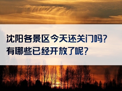 沈阳各景区今天还关门吗？有哪些已经开放了呢？