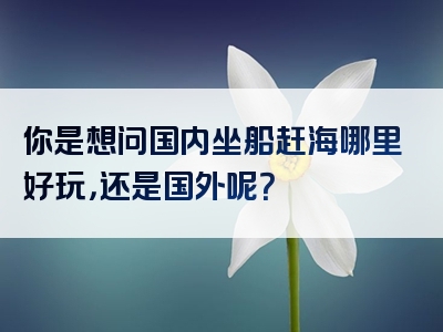 你是想问国内坐船赶海哪里好玩，还是国外呢？