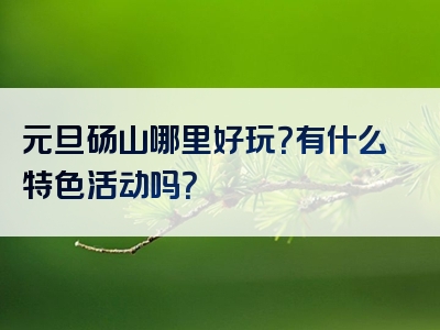 元旦砀山哪里好玩？有什么特色活动吗？