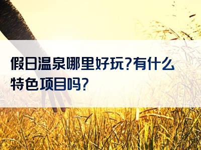 假日温泉哪里好玩？有什么特色项目吗？