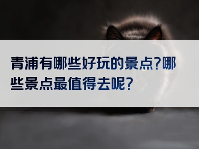 青浦有哪些好玩的景点？哪些景点最值得去呢？