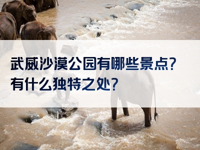 武威沙漠公园有哪些景点？有什么独特之处？