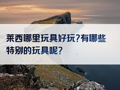 莱西哪里玩具好玩？有哪些特别的玩具呢？