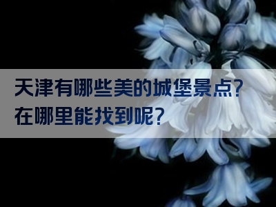 天津有哪些美的城堡景点？在哪里能找到呢？