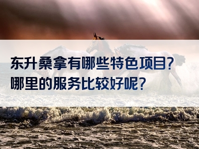东升桑拿有哪些特色项目？哪里的服务比较好呢？