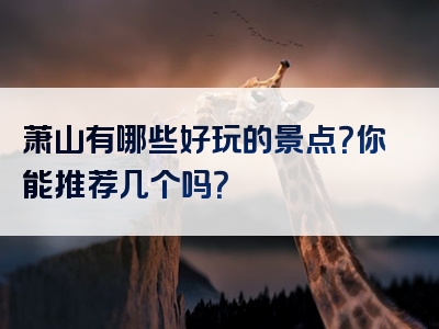 萧山有哪些好玩的景点？你能推荐几个吗？