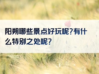 阳朔哪些景点好玩呢？有什么特别之处呢？