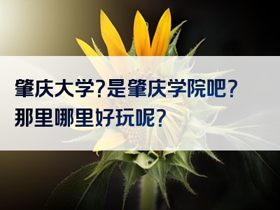 肇庆大学？是肇庆学院吧？那里哪里好玩呢？