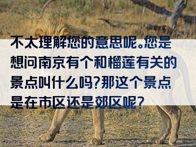 不太理解您的意思呢。您是想问南京有个和榴莲有关的景点叫什么吗？那这个景点是在市区还是郊区呢？