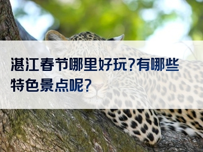 湛江春节哪里好玩？有哪些特色景点呢？
