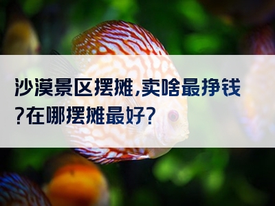 沙漠景区摆摊，卖啥最挣钱？在哪摆摊最好？