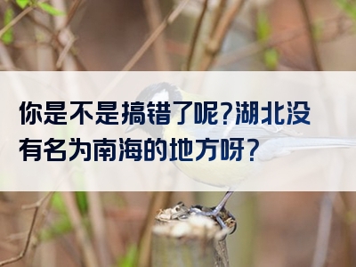 你是不是搞错了呢？湖北没有名为南海的地方呀？