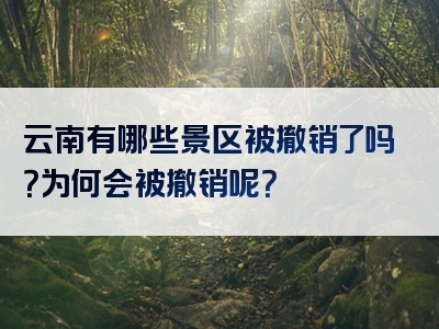 云南有哪些景区被撤销了吗？为何会被撤销呢？