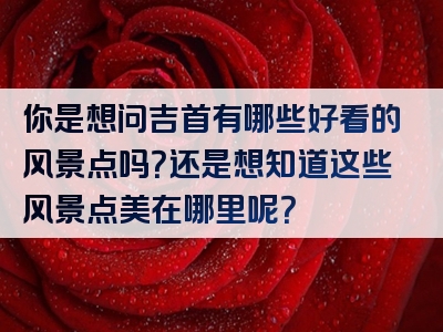 你是想问吉首有哪些好看的风景点吗？还是想知道这些风景点美在哪里呢？
