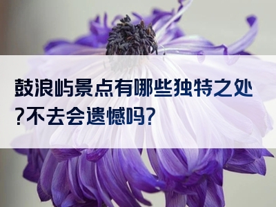 鼓浪屿景点有哪些独特之处？不去会遗憾吗？