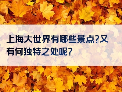 上海大世界有哪些景点？又有何独特之处呢？
