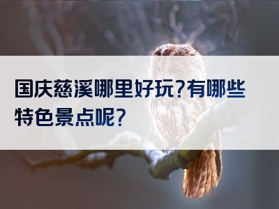 国庆慈溪哪里好玩？有哪些特色景点呢？