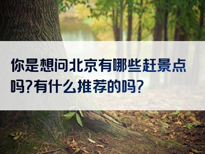 你是想问北京有哪些赶景点吗？有什么推荐的吗？