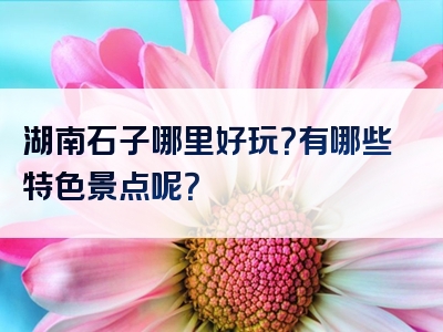 湖南石子哪里好玩？有哪些特色景点呢？