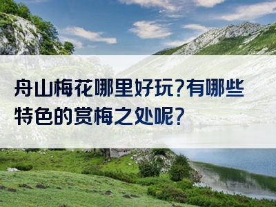 舟山梅花哪里好玩？有哪些特色的赏梅之处呢？