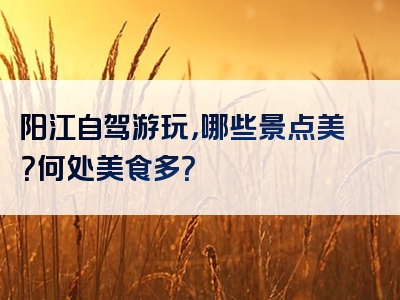 阳江自驾游玩，哪些景点美？何处美食多？