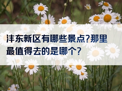 沣东新区有哪些景点？那里最值得去的是哪个？