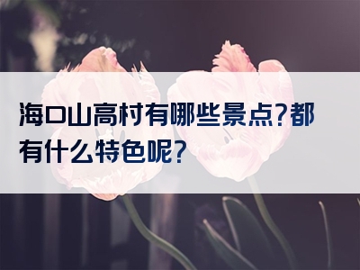 海口山高村有哪些景点？都有什么特色呢？
