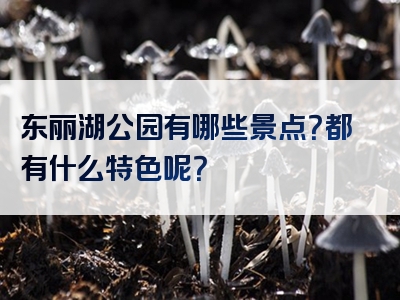 东丽湖公园有哪些景点？都有什么特色呢？