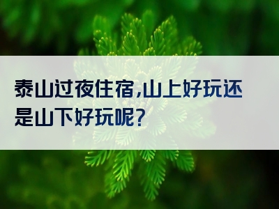 泰山过夜住宿，山上好玩还是山下好玩呢？