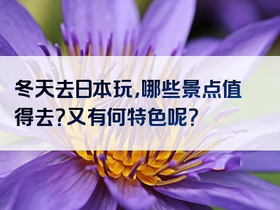 冬天去日本玩，哪些景点值得去？又有何特色呢？