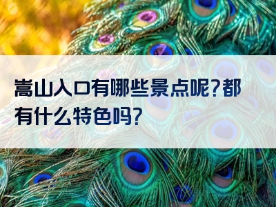 嵩山入口有哪些景点呢？都有什么特色吗？