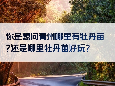 你是想问青州哪里有牡丹苗？还是哪里牡丹苗好玩？