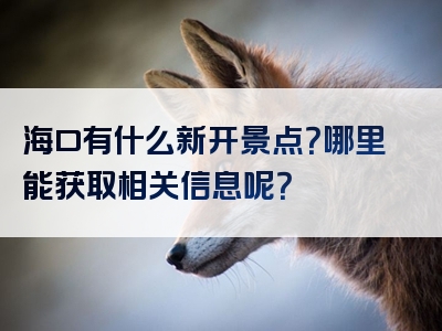 海口有什么新开景点？哪里能获取相关信息呢？