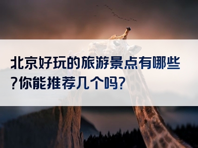 北京好玩的旅游景点有哪些？你能推荐几个吗？