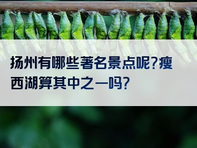 扬州有哪些著名景点呢？瘦西湖算其中之一吗？