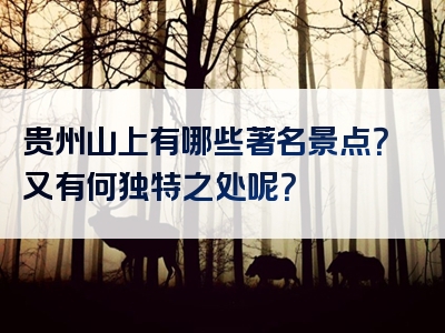 贵州山上有哪些著名景点？又有何独特之处呢？