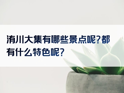 洧川大集有哪些景点呢？都有什么特色呢？