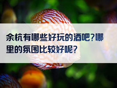 余杭有哪些好玩的酒吧？哪里的氛围比较好呢？