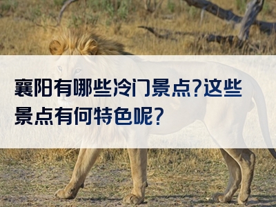 襄阳有哪些冷门景点？这些景点有何特色呢？