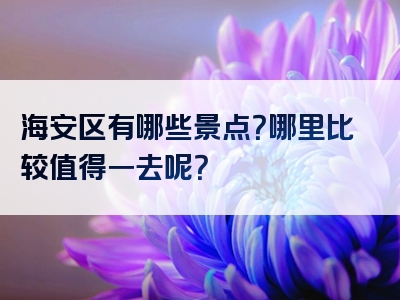 海安区有哪些景点？哪里比较值得一去呢？