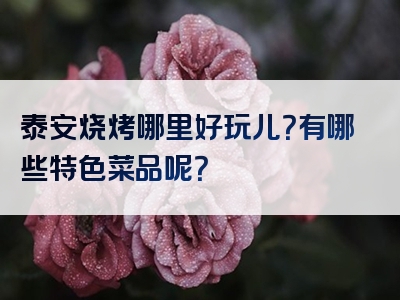 泰安烧烤哪里好玩儿？有哪些特色菜品呢？
