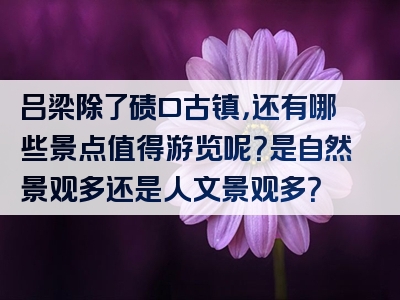 吕梁除了碛口古镇，还有哪些景点值得游览呢？是自然景观多还是人文景观多？