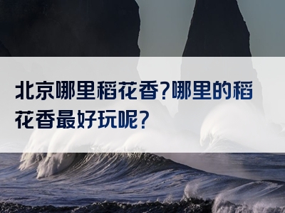 北京哪里稻花香？哪里的稻花香最好玩呢？