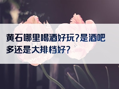 黄石哪里喝酒好玩？是酒吧多还是大排档好？