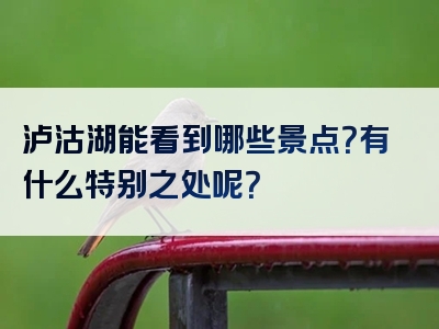 泸沽湖能看到哪些景点？有什么特别之处呢？