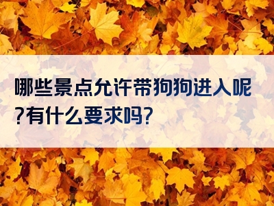 哪些景点允许带狗狗进入呢？有什么要求吗？
