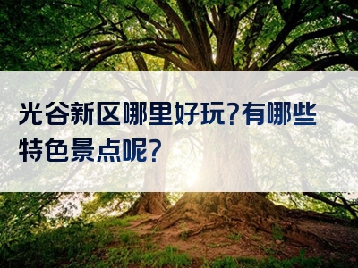 光谷新区哪里好玩？有哪些特色景点呢？