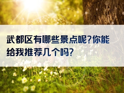 武都区有哪些景点呢？你能给我推荐几个吗？