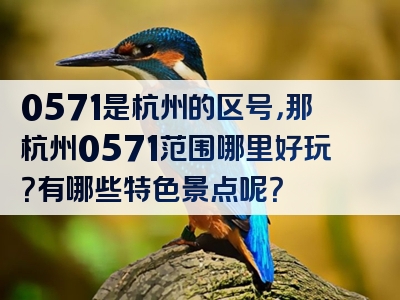 0571是杭州的区号，那杭州0571范围哪里好玩？有哪些特色景点呢？
