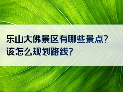 乐山大佛景区有哪些景点？该怎么规划路线？